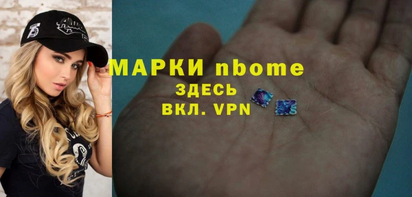 хмурый Магас