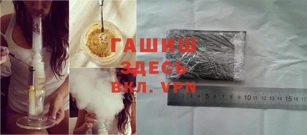 PSILOCYBIN Алагир