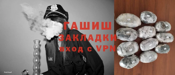 хмурый Магас