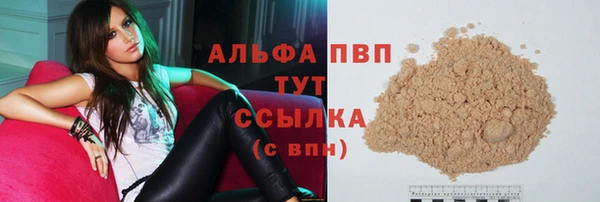 хмурый Магас