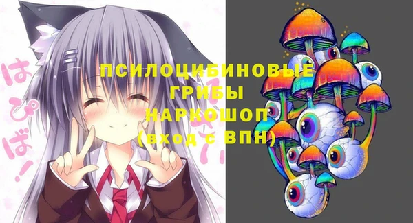 хмурый Магас