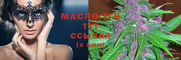 хмурый Магас
