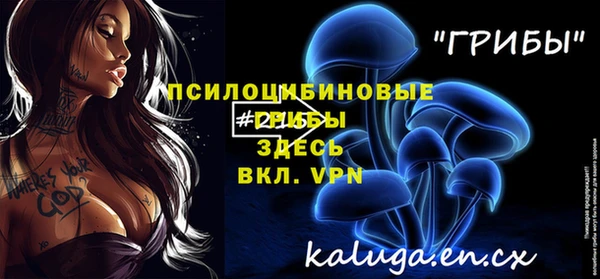тгк Медногорск