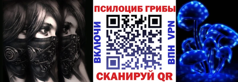 Псилоцибиновые грибы прущие грибы  Шилка 